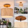 Bongal lampa sufitowa kolory naturalne, czarny, 1-punktowy
