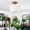 Bassagoda Lampa sufitowa Ecru, Czarny, 1-punktowy