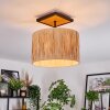 Granja Lampa sufitowa Ecru, Czarny, 1-punktowy