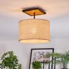 Sabadim Lampa sufitowa Ecru, Czarny, 1-punktowy