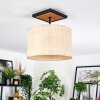 Sabadim lampa sufitowa kolory naturalne, czarny, 1-punktowy