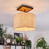 Sabadim lampa sufitowa kolory naturalne, czarny, 1-punktowy