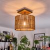 Cando Lampa sufitowa Ecru, Czarny, 1-punktowy