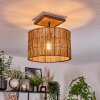 Cando Lampa sufitowa Ecru, Czarny, 1-punktowy
