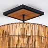 Cando Lampa sufitowa Ecru, Czarny, 1-punktowy