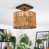 Cando Lampa sufitowa Ecru, Czarny, 1-punktowy