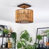 Cando lampa sufitowa kolory naturalne, czarny, 1-punktowy