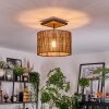 Cando lampa sufitowa kolory naturalne, czarny, 1-punktowy