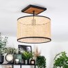Ramila Lampa sufitowa Ecru, Czarny, 1-punktowy