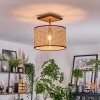 Ramila Lampa sufitowa Ecru, Czarny, 1-punktowy