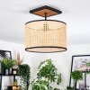 Ramila Lampa sufitowa Ecru, Czarny, 1-punktowy