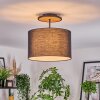 Bassagoda Lampa sufitowa Ecru, Czarny, 1-punktowy