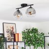 Ripoll Lampa sufitowa, Kula świetlna Przezroczysty, Przydymiony, 2-punktowe