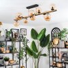 Chehalis Lampa sufitowa, Kula świetlna Złoty, Czarny, 10-punktowe Chehalis Lampa sufitowa, Kula świetlna Złoty, Czarny, 10-punktowe