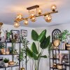 Chehalis Lampa sufitowa, Kula świetlna Złoty, Czarny, 10-punktowe Chehalis Lampa sufitowa, Kula świetlna Złoty, Czarny, 10-punktowe