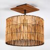 Cando lampa sufitowa kolory naturalne, czarny, 1-punktowy