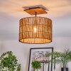 Cando lampa sufitowa kolory naturalne, czarny, 1-punktowy