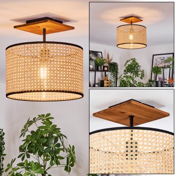 Ramila Lampa sufitowa Ecru, Czarny, 1-punktowy