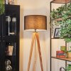 Flemming Lampa stojąca Ecru, Czarny, 1-punktowy