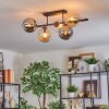 Gastor lampa sufitowa, kula świetlna bursztynowy, przezroczysty, przydymiony, 5-punktowe