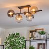 Gastor lampa sufitowa, kula świetlna bursztynowy, przezroczysty, przydymiony, 5-punktowe