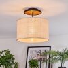 Sabadim Lampa sufitowa Ecru, Czarny, 1-punktowy