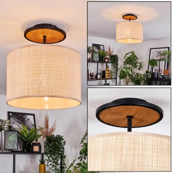Sabadim Lampa sufitowa Ecru, Czarny, 1-punktowy