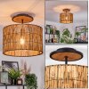 Cando Lampa sufitowa Ecru, Czarny, 1-punktowy
