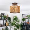 Cando Lampa sufitowa Ecru, Czarny, 1-punktowy