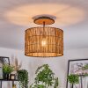 Cando Lampa sufitowa Ecru, Czarny, 1-punktowy