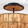 Cando Lampa sufitowa Ecru, Czarny, 1-punktowy