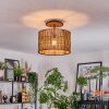 Cando lampa sufitowa kolory naturalne, czarny, 1-punktowy