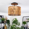 Cando lampa sufitowa kolory naturalne, czarny, 1-punktowy