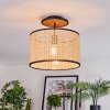 Ramila Lampa sufitowa Ecru, Czarny, 1-punktowy