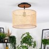 Ramila Lampa sufitowa Ecru, Czarny, 1-punktowy