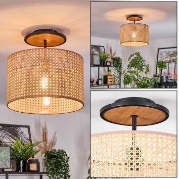 Ramila Lampa sufitowa Ecru, Czarny, 1-punktowy