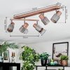 Nelar Lampa sufitowa, Spot sufitowy Brązowy, Chrom, 5-punktowe