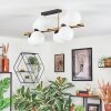 Gastor lampa sufitowa, kula świetlna złoty, czarny, 8-punktowe