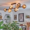 Ripoll lampa sufitowa, kula świetlna bursztynowy, przezroczysty, przydymiony, 10-punktowe