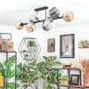 Ripoll lampa sufitowa, kula świetlna bursztynowy, przezroczysty, przydymiony, 10-punktowe