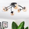 Chehalis Lampa sufitowa, Kula świetlna 56 cm W kolorze bursztynu, Przezroczysty, 6-punktowe