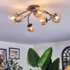 Chehalis Lampa sufitowa, Kula świetlna 56 cm W kolorze bursztynu, Przezroczysty, 6-punktowe