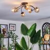 Chehalis Lampa sufitowa, Kula świetlna 56 cm W kolorze bursztynu, Przezroczysty, 6-punktowe