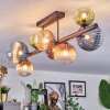 Chehalis Lampa sufitowa, Kula świetlna Niebeieski, Zielony, Przezroczysty, W kolorze miedzi, 8-punktowe