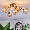 Chehalis lampa sufitowa, kula świetlna bursztynowy, przezroczysty, 6-punktowe