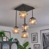 Ripoll lampa sufitowa, kula świetlna chrom, przezroczysty, przydymiony, 5-punktowe