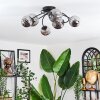 Chehalis Lampa sufitowa, Kula świetlna Przydymiony, 6-punktowe
