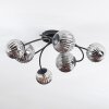 Chehalis Lampa sufitowa, Kula świetlna Przydymiony, 6-punktowe