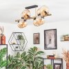 Koyoto lampa sufitowa, kula świetlna złoty, czarny, 8-punktowe