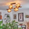 Koyoto lampa sufitowa, kula świetlna złoty, czarny, 8-punktowe